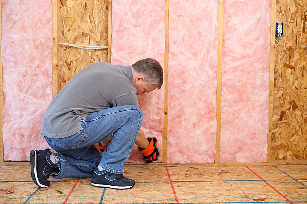 Best DIY Insulation Kits and Guidance in Foscoe, NC
