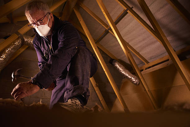 Best Energy Efficiency Insulation in Foscoe, NC
